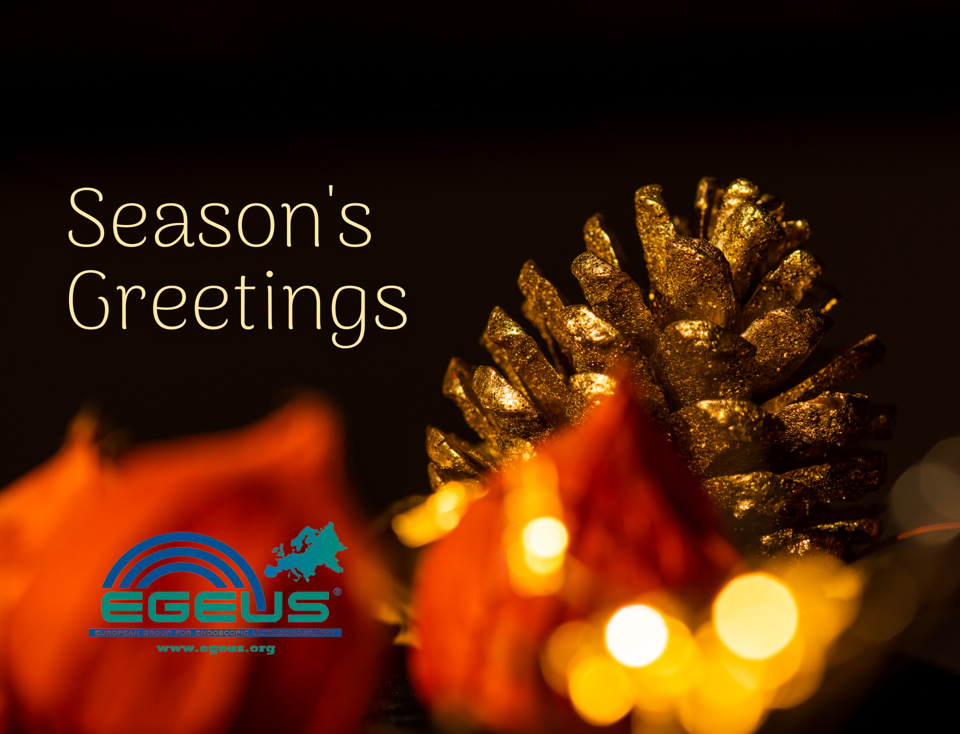 Season’s Greetings